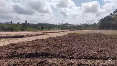 Imóvel 798