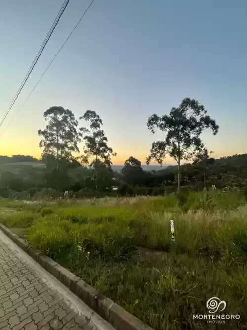 Imóvel 877